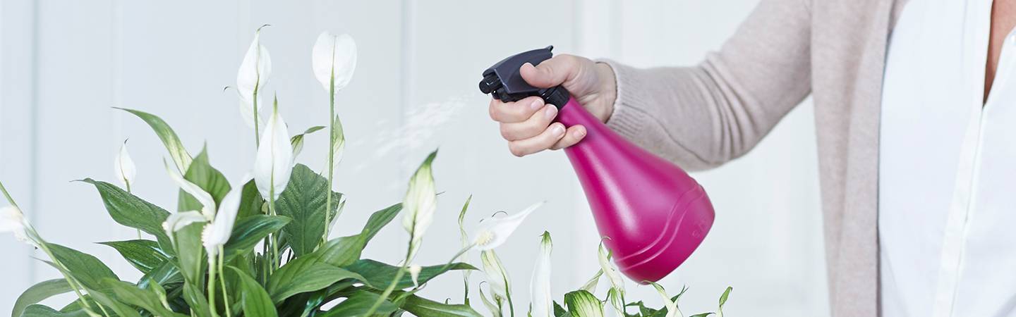 aquarius sprüher 0,7ltr anthrazit